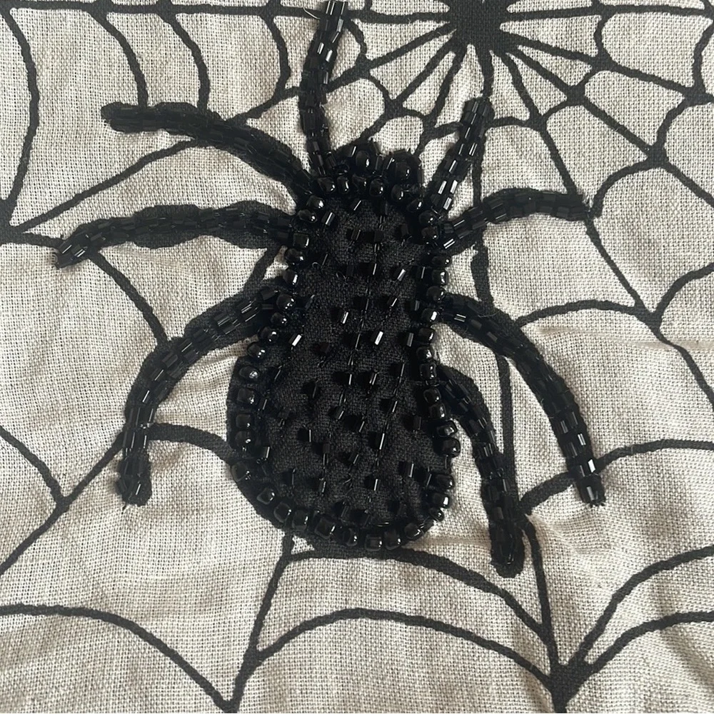 Domain Halloween themed placemats Swt of 4 Spiderweb Beaded